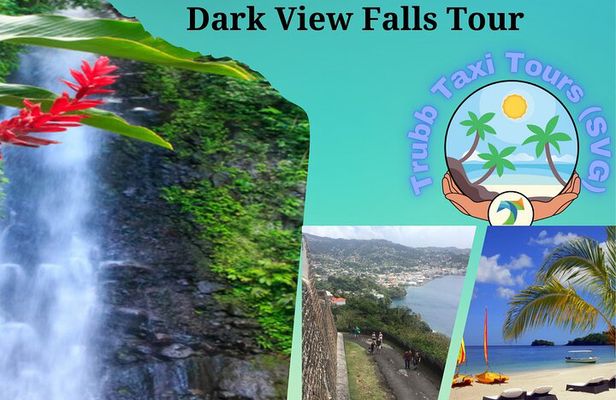 Dark View Falls Tour with Trubb Taxi Tours SVG