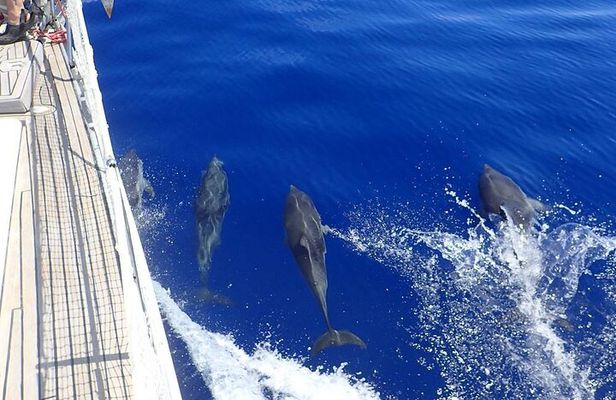 Private Full Day Cruise Tour in Naxos Town
