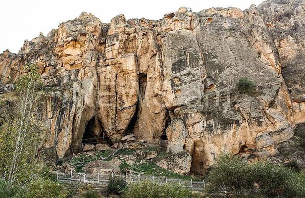 Khor Virap, Noravank, Areni, Birds Cave, Wine tasting