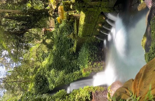 Ubud Shamanic Healing and Purification Ceremony