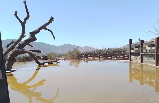 Full Day Private Tour or Guadalupe Valley Weekend
