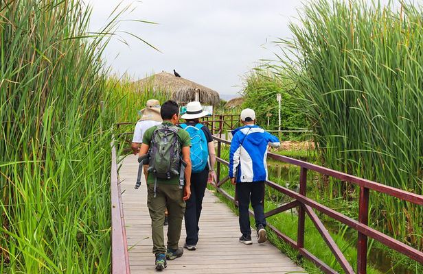 Last Little Wildlife Refuge in Lima