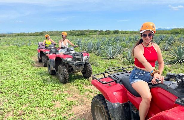 Jungle and beach ATV tour + lunch + tequila tasting