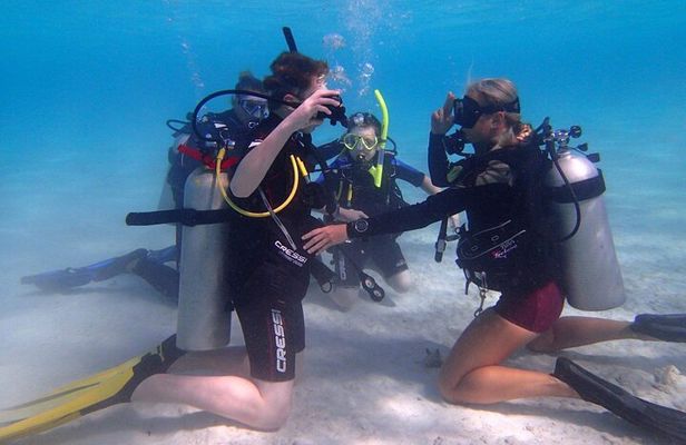 Private First-Time Dive on Aruba’s Reef and Wreck Site