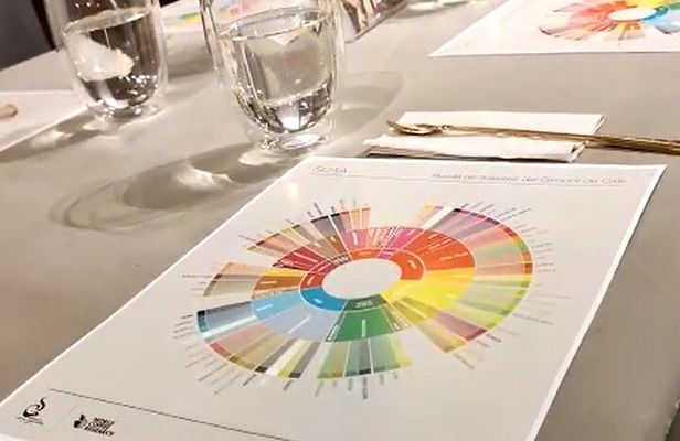 Specialty Coffee Tasting in Bogotá, From coffee growers to your cup