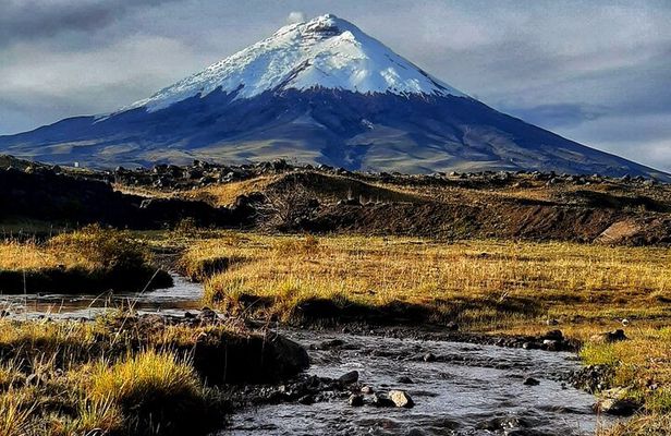 Full-Day Cotopaxi National Park Horseback Ride hike for Beginners