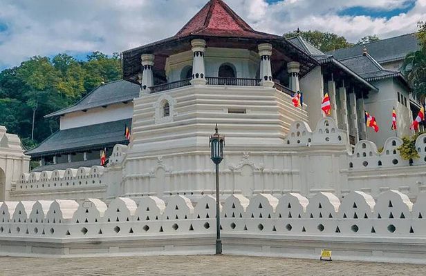 Kandy & Pinnawala Elephant Orphanage Day Trip from Negombo