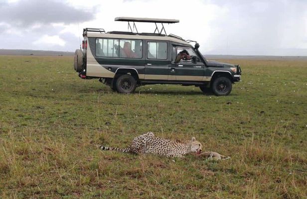 3 Day Private 4x4 Jeep Tour in Masai Mara Safari