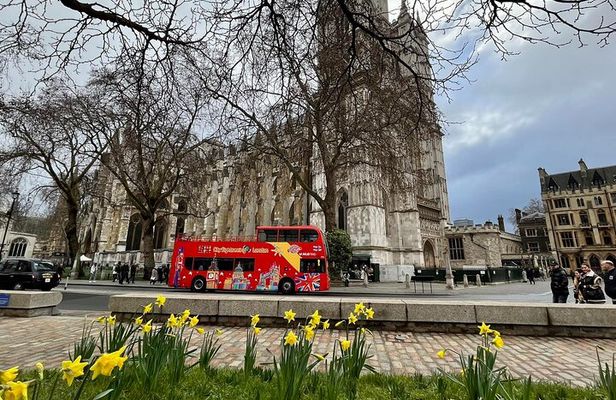 Westminster Abbey Private Tour with a Walk in the Heart of London