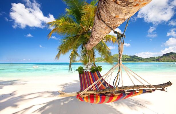 Full Day Saona Island Day Trip From Punta Cana
