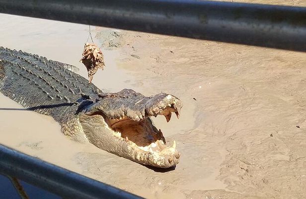 Darwin: Litchfield & Jumping Crocodile Cruise, 4WD, max 6 guests