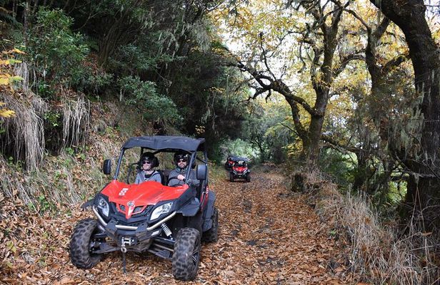 Buggy Tour The Volcanoes 5 Hours in La Palma