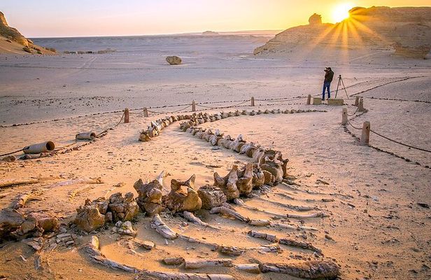 Private Tour in Fayoum for 2 Days and 1 Night