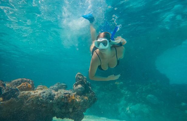 Private Half Day Luxury Snorkeling Charter