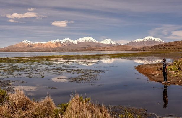 Altiplano 3D 2N Arica Putre Salar de Surire Lake Chungara Arica