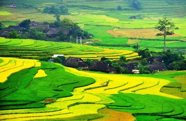 Sapa and Ha Giang Explore Luxury Tour 6 Days Full Options