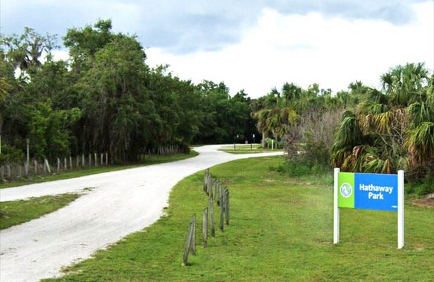 Night Sky Stargazing Tour in Punta Gorda Florida