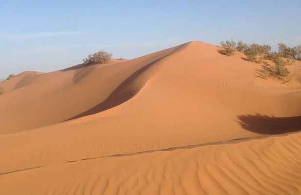 Jeep Tour to Mini Sahara With Lunch Small group