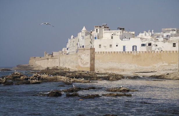 Full Day Essaouira Atlantic Coast City Guided Tour from Marrakech