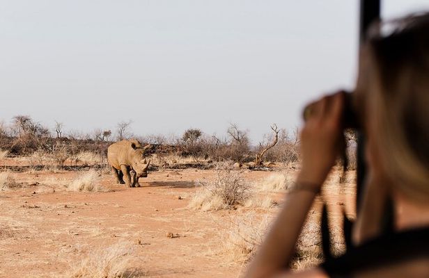 Full Day Pilanesberg Safari Adventure