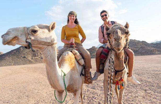 2 Hours Camel Riding Experience in Agadir
