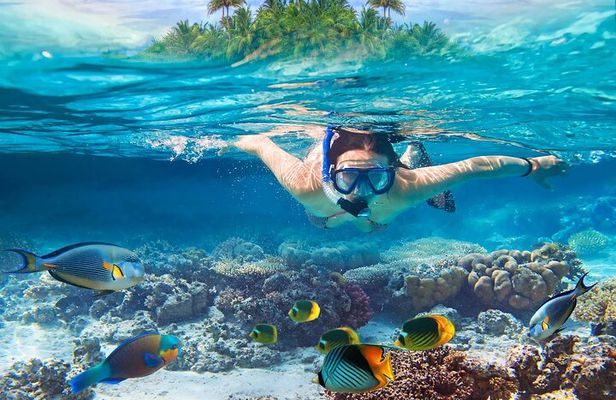 Have Fun in Blue Lagoon Snorkeling with Quad Bike Ride in Bali