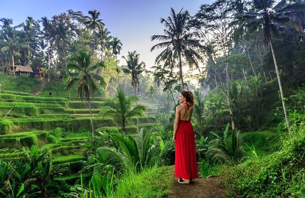 Bali Tour : Best Attractions in Ubud with Rice Terrace