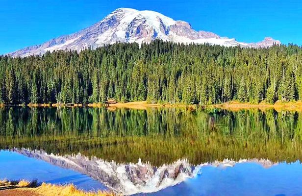 Small Group Mt Rainier National Park Day Tour from Seattle 2CanGo