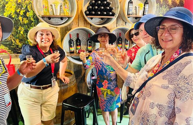 City Sight Seeing with Wine, Rum Cake and Conch Fritter Samples