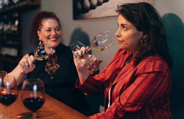 Istanbul Private Wine Tasting Tour Through 3 City Wineries