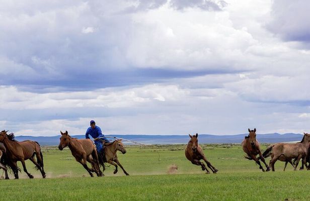 Essence of Mongolia 5 Days