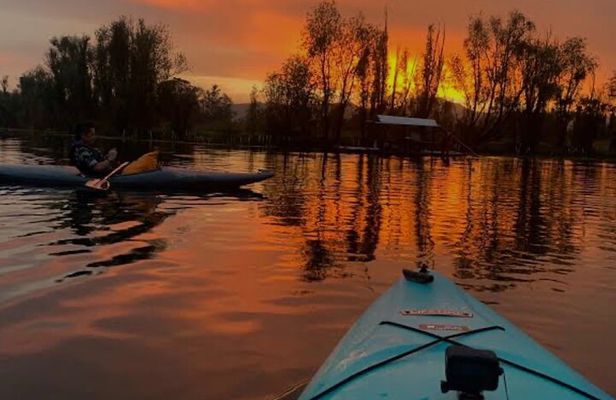 Mexico City: Xochimilco at sunrise + Breakfast and transportation
