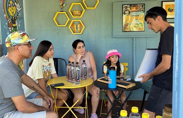 Bee Farm Ecotour and Honey Tasting