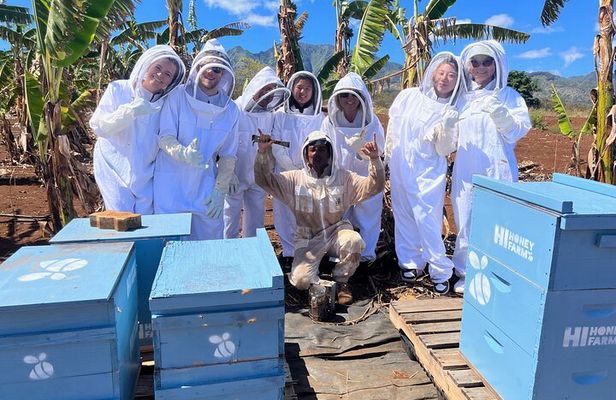 Bee Farm Ecotour and Honey Tasting