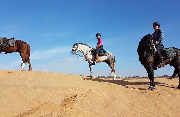 Horse Ride in Agadir & Options at Sunset & Barbecue with Couscous