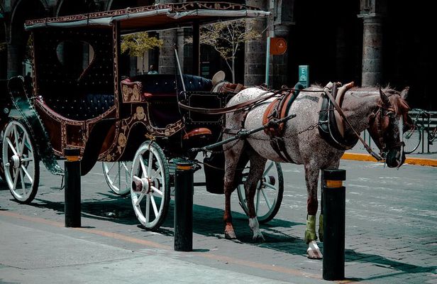 Private Photo Session in the City of Guadalajara