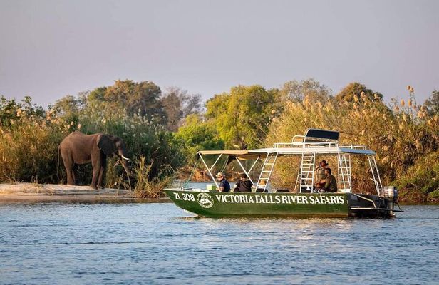 Zambezi River Safari