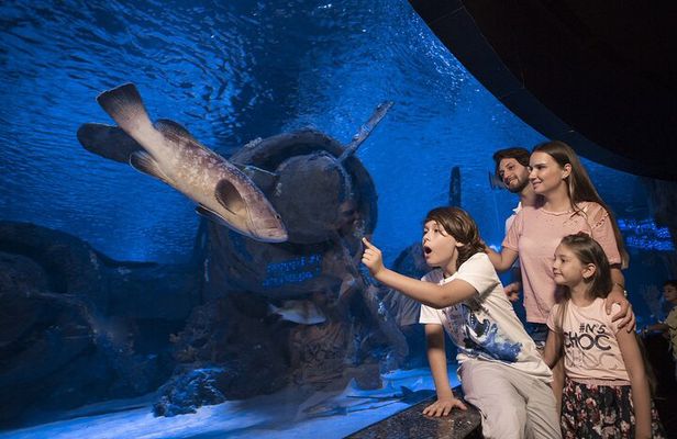 Half Day Antalya Aquarium Tour And Wax Museum