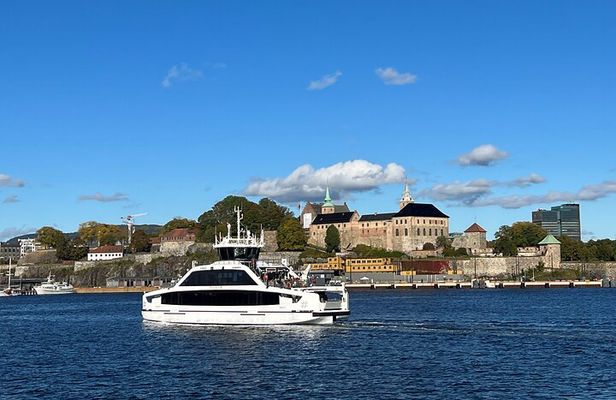 Oslo City Highlights with Fjord Cruise