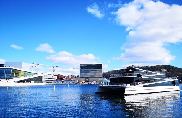 Oslo Combo Tour: Grand City Tour and Oslo Fjord Cruise