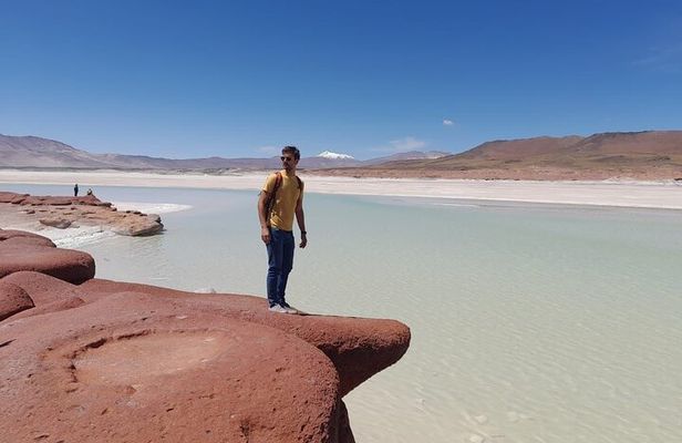 Piedras Rojas Salt Flats and Altiplanic Lagoons