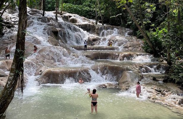Private and Customize Tour from Montego Bay to Dunns River Falls