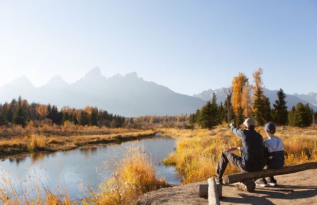 Grand Teton Wildlife and Scenery Tour with Lunch