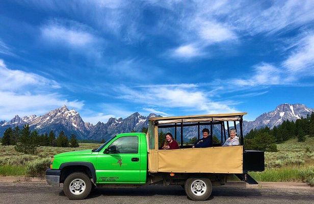 Grand Teton Wildlife Safari in a Enclosed or Open-Air Vehicle (season dependent)