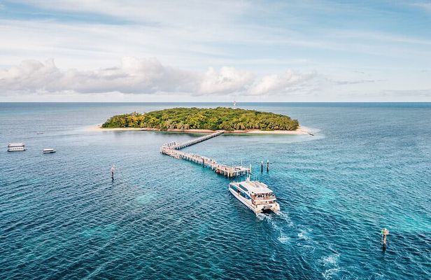 Snorkelling and Glass Bottom Boat at Green Island from Cairns