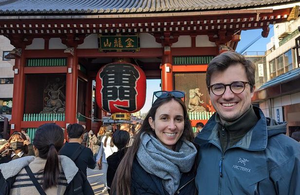 Tokyo Full Day Tour with Licensed Guide and Vehicle from Yokohama