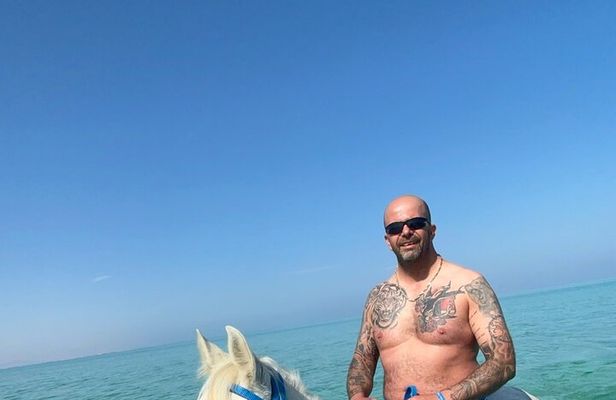 3-Hours Horse Riding and Swimming in Red Sea on the Beach and Dessert Hurghada