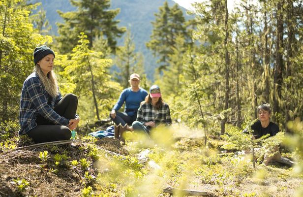 Private Forest Bathing in Serene Whistler Forests
