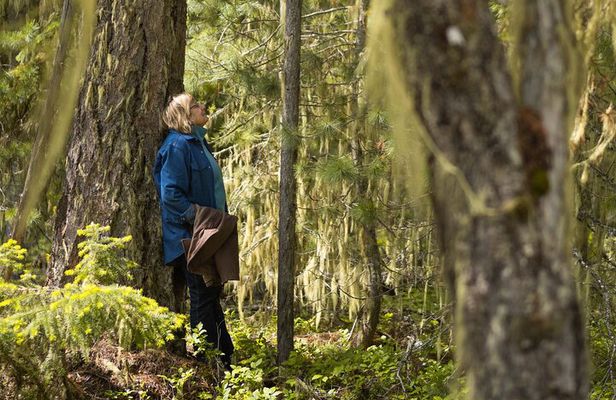 Forest Bathing: Discover the Magic and Awe of Whistler's Forests