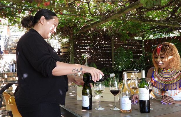 Cape Winelands Private Tour to Stellenbosch and Franschhoek